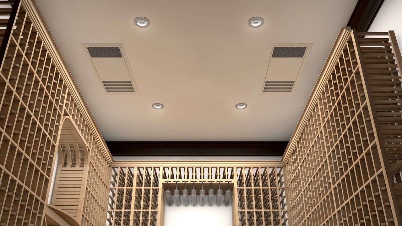 Ceiling Mount Twin Split 12000 Ductless (220V Condenser ...